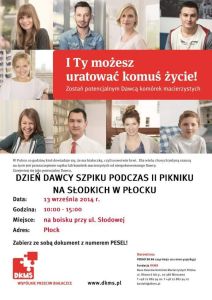 plakat - Płock