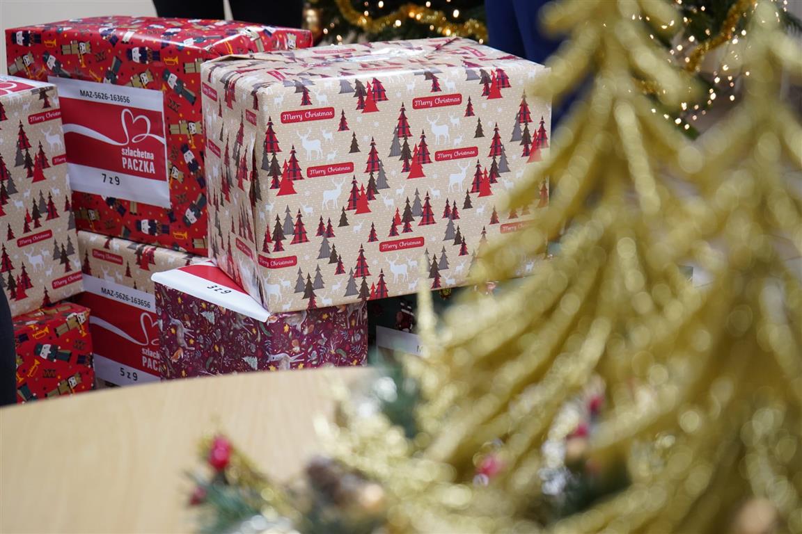 Dziewięć paczek wypełnionych po brzegi pojechało do rodziny z powiatu płockiego. Wzruszające słowa starosty… [FOTO]