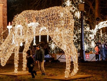 Płockie Ogrody Światła na historyczną skalę. Orlen i miasto połączyły siły. Impreza zapowiada się imponująco…