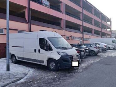 Pies marzł w samochodzie, a 47-latek odwiedzał znajomych. Zwierzakowi pomogli płoccy strażnicy miejscy i policja