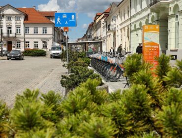 Zazieleniło się na ul. Grodzkiej i Placu Narutowicza. Przybyło mnóstwo nowych roślin [FOTO]