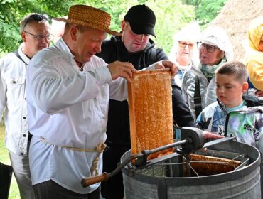 Słodko, najsłodziej, czyli smak miodu prosto spod ręki pszczelarza. Sierpecki skansen urządził miodobranie [FOTO]