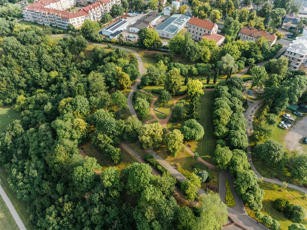 Malowniczy płocki Park Abisynia będzie jeszcze ładniejszy. Alejki zyskają oświetlenie [FOTO]