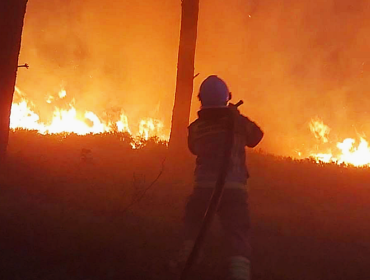 Susza i pożary zagrożeniem dla mazowieckich lasów. Skuteczna walka z żywiołem możliwa dzięki wsparciu dla strażaków