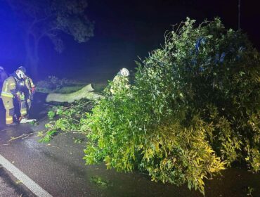 Powalone drzewa, zerwane linie energetyczne. Nawałnica przeszła przez powiat płocki