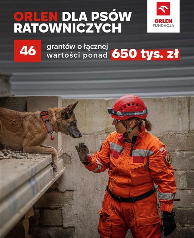Gdy liczy się każda sekunda. Orlen docenił zespoły – człowiek i pies. Przyznano 46 grantów na kwotę 650 tys. zł
