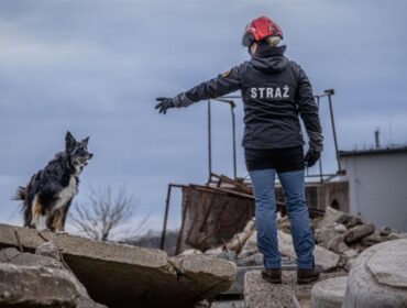 Gdy liczy się każda sekunda. Orlen docenił zespoły – człowiek i pies. Przyznano 46 grantów na kwotę 650 tys. zł