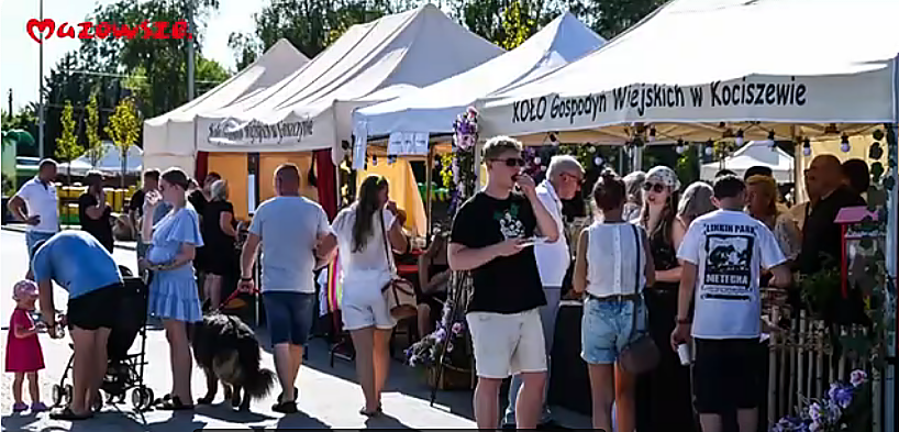 Informacje z Mazowsza. Już można głosować w BOM, a jest w czym wybierać. A także o rozbudowie dróg w kilku powiatach [FILM]
