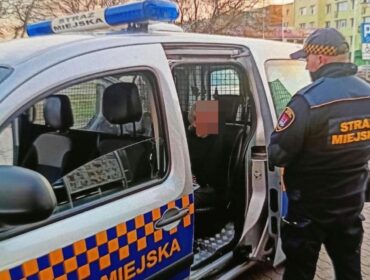 Seniorka z zanikiem pamięci błąkała się po płockiej ulicy. Policja ustalała tożsamość kobiety. Apel Straży Miejskiej!